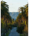 Hollywood Sign Palm Trees - Art Print