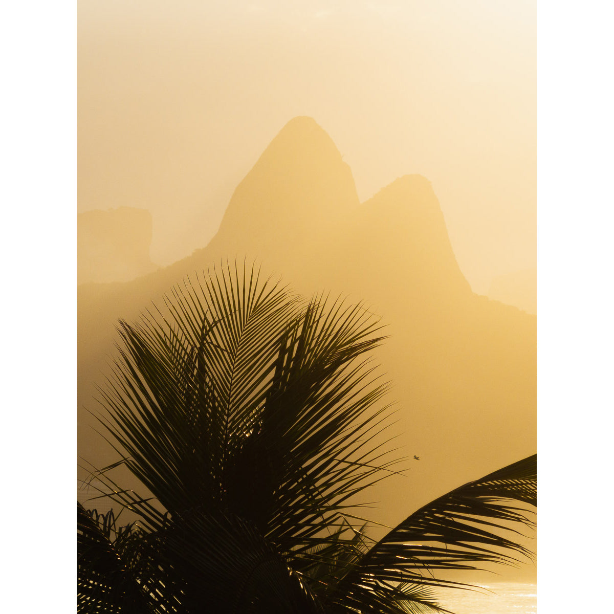 Dois Irmãos Mist – Tidaltones