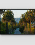 Hollywood Sign Palm Trees - Art Print - Float Frame Canvas - Black - Landscape