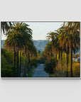 Hollywood Sign Palm Trees - Art Print - Float Frame Canvas - White - Landscape