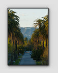 Hollywood Sign Palm Trees - Art Print - Float Frame Canvas - Black - Portrait