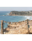 Love Locks of Lennox - Fine Art Print Tidaltones