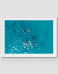 Dolphin Pod - Port Stephens - Art Print - Traditional Frame - White - Landscape
