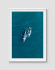 Whales Cruising - Art Print - Traditional Frame - White - Portrait