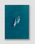 Whales Cruising - Art Print - Float Frame Canvas - White - Portrait