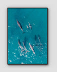 Dolphin Pod - Port Stephens - Art Print - Float Frame Canvas - Black - Portrait