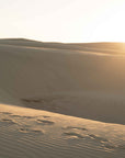 Birubi Sand Dunes - Port Stephens - Art Print