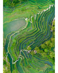 Tegalalang Rice Fields - Ubud - Tidaltones