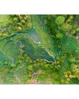 Tegalalang Rice Fields - Ubud - Tidaltones