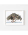 Pandanus By The Sea - Art Print