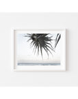 Pandanus By The Sea ii - Art Print