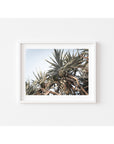 Pandanus Love - Art Print