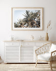 Pandanus Love - Art Print