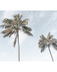 Two Palms - Art Print