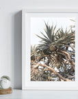 Pandanus Love - Art Print