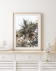 Pandanus Love - Art Print