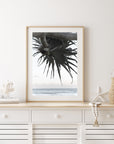 Pandanus By The Sea ii - Art Print