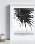 Pandanus By The Sea ii - Art Print
