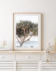 Pandanus By The Sea - Art Print