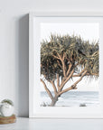Pandanus By The Sea - Art Print
