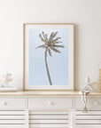 Single Palm - Art Print