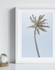 Single Palm - Art Print