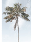 Two Palms - Art Print