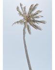 Single Palm - Art Print