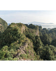 Top of The World - Art Print Tidaltones