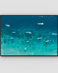 Gili T Bluewater - Art Print - Float Frame Canvas - Black - Landscape