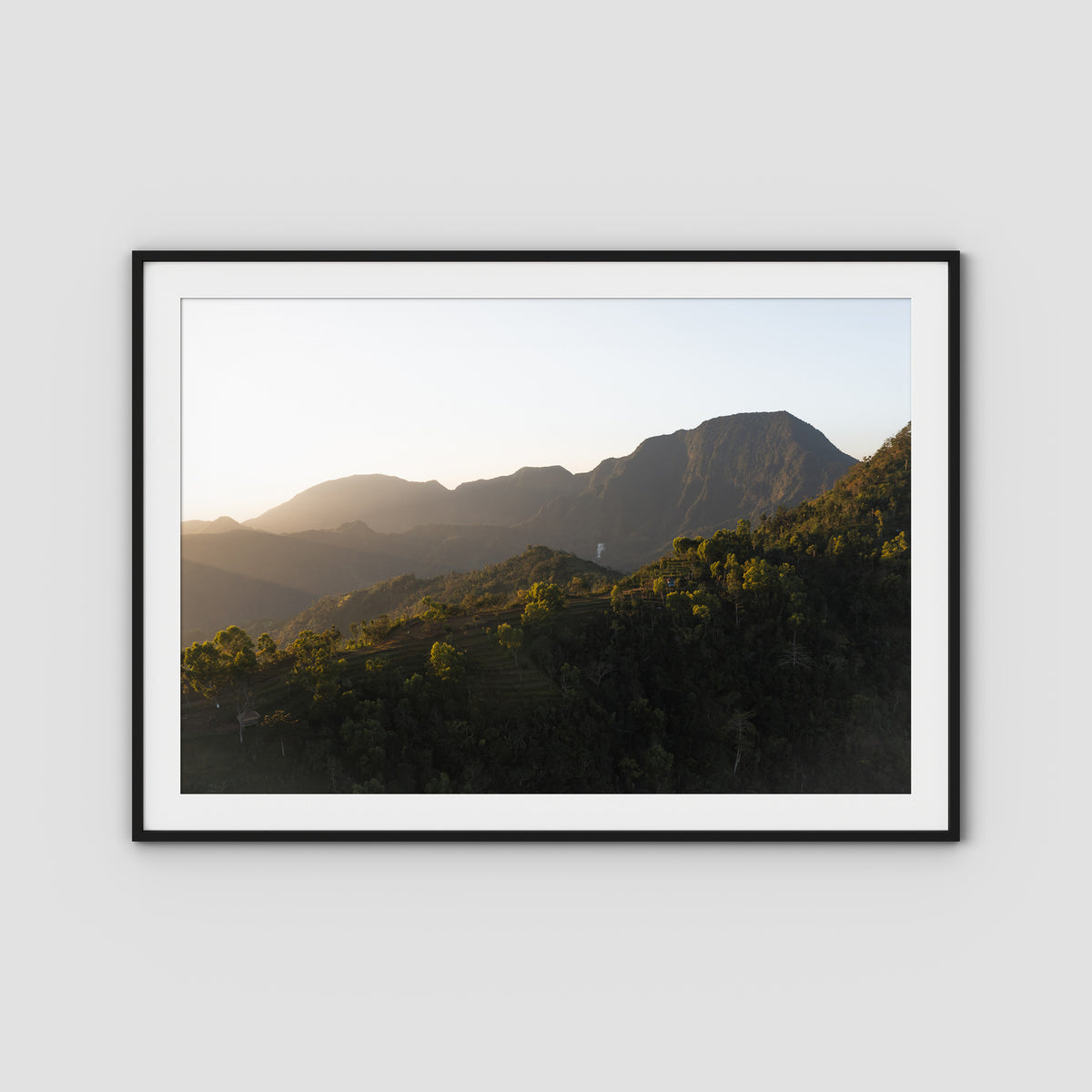 Jungle Morning Light - Bali  - Art Print - Traditional Frame - Black - Landscape