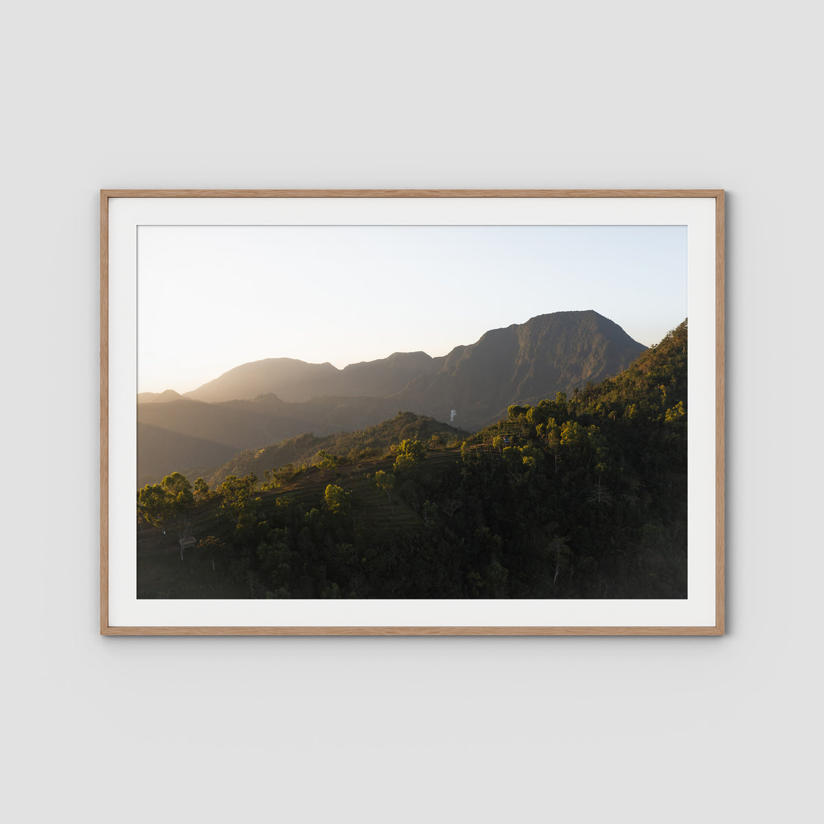 Jungle Morning Light - Bali  - Art Print - Traditional Frame - Raw Oak - Landscape