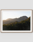 Jungle Morning Light - Bali  - Art Print - Traditional Frame - Raw Oak - Landscape