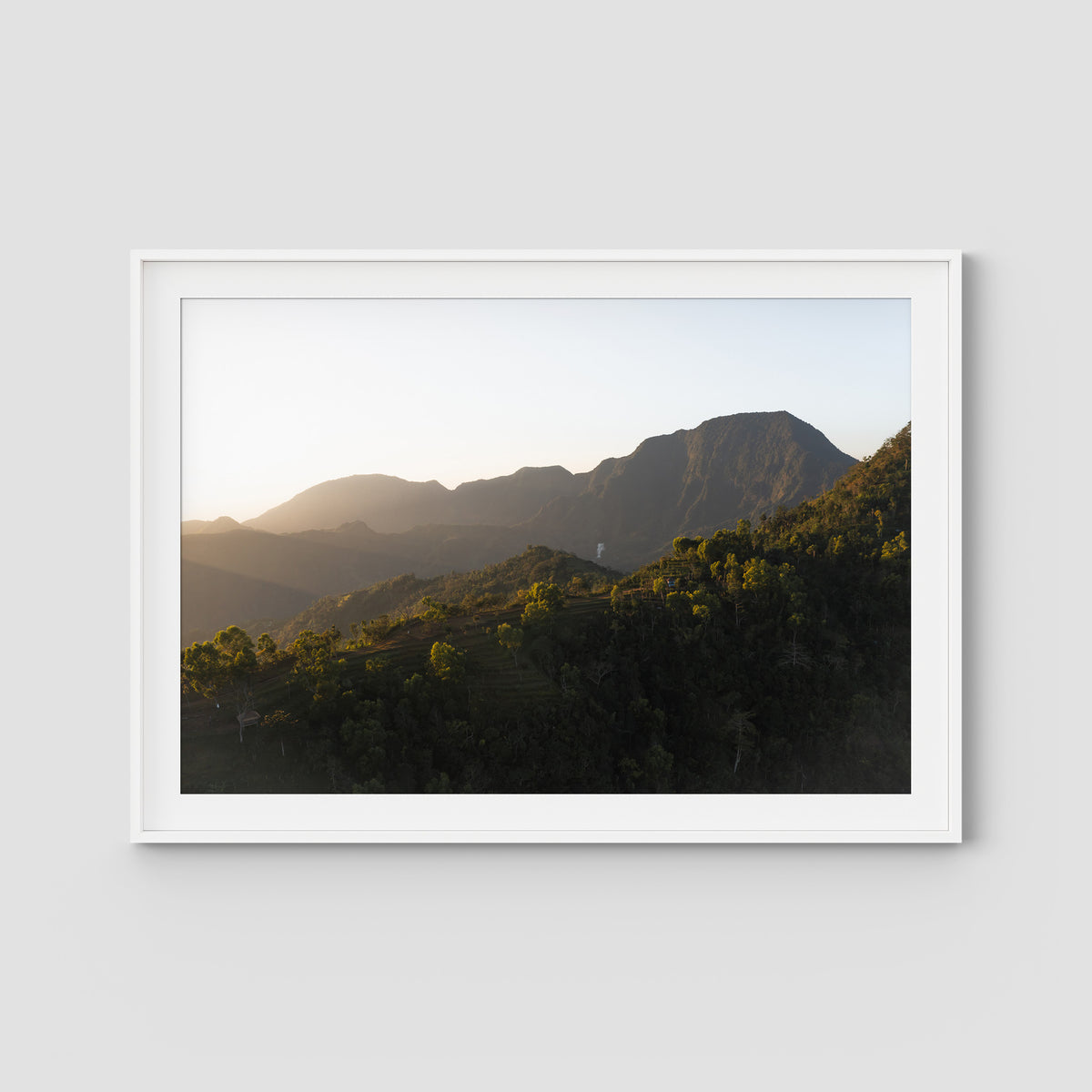 Jungle Morning Light - Bali  - Art Print - Traditional Frame - White - Landscape