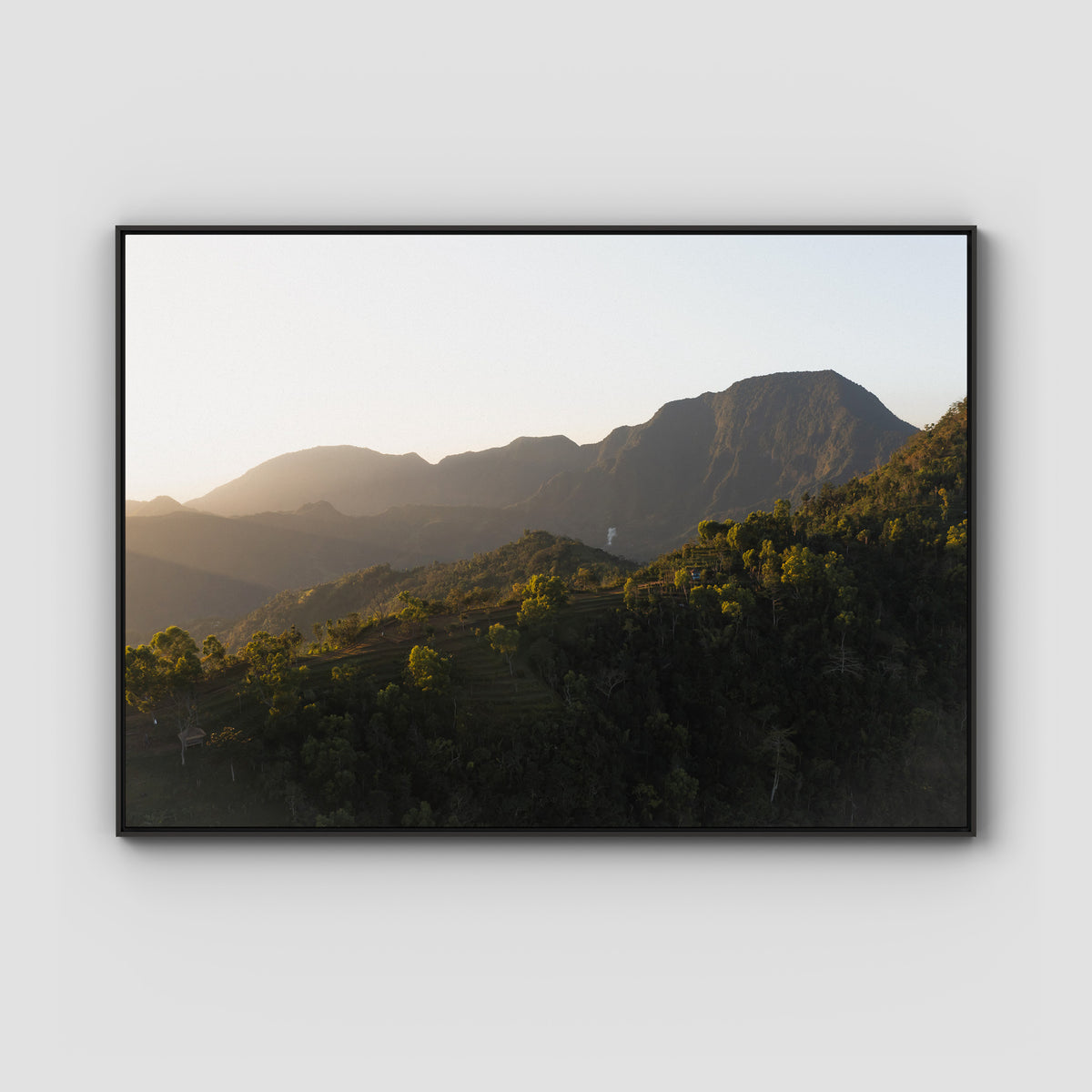 Jungle Morning Light - Bali  - Art Print - Float Frame Canvas - Black - Landscape