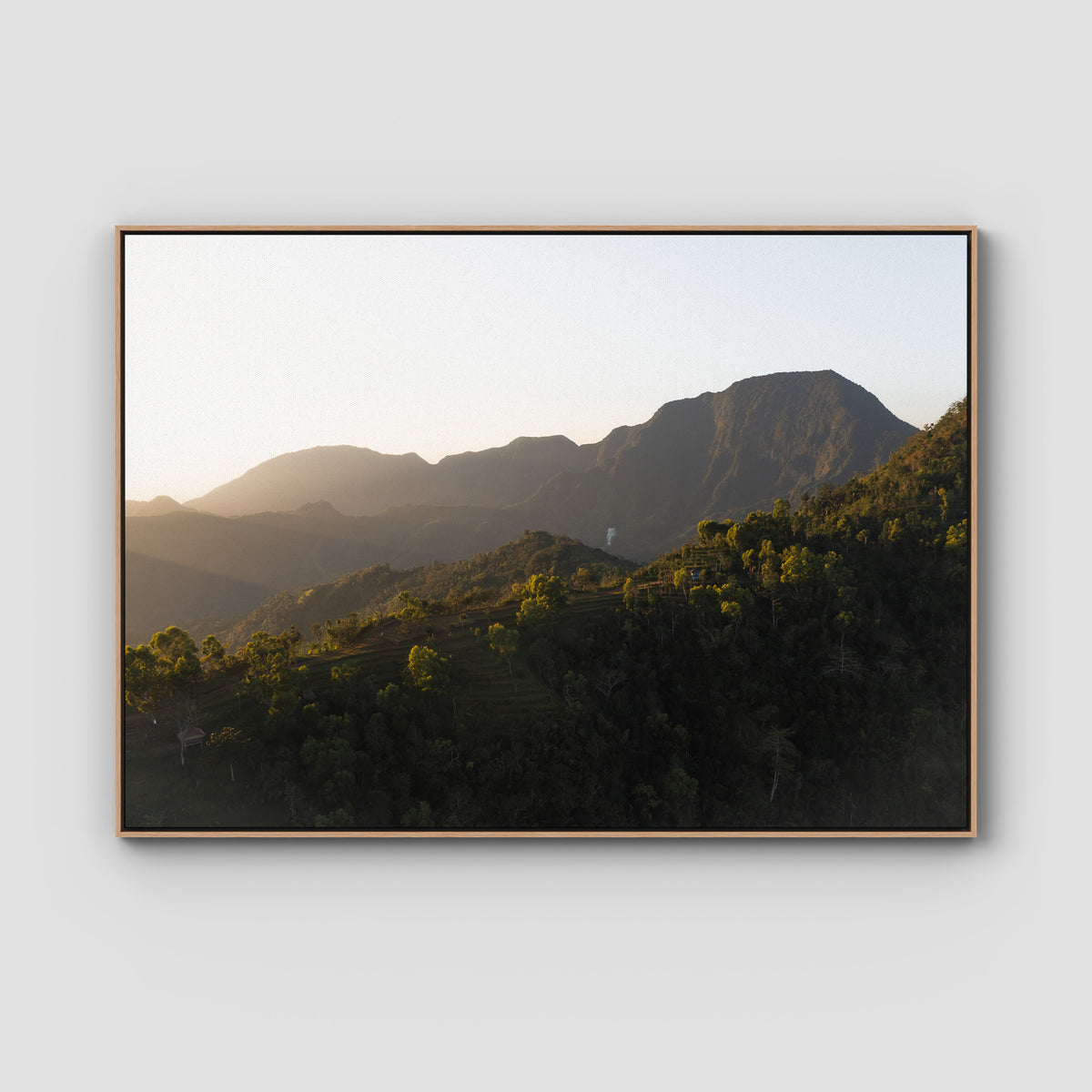 Jungle Morning Light - Bali  - Art Print - Float Frame Canvas - Raw Oak - Landscape