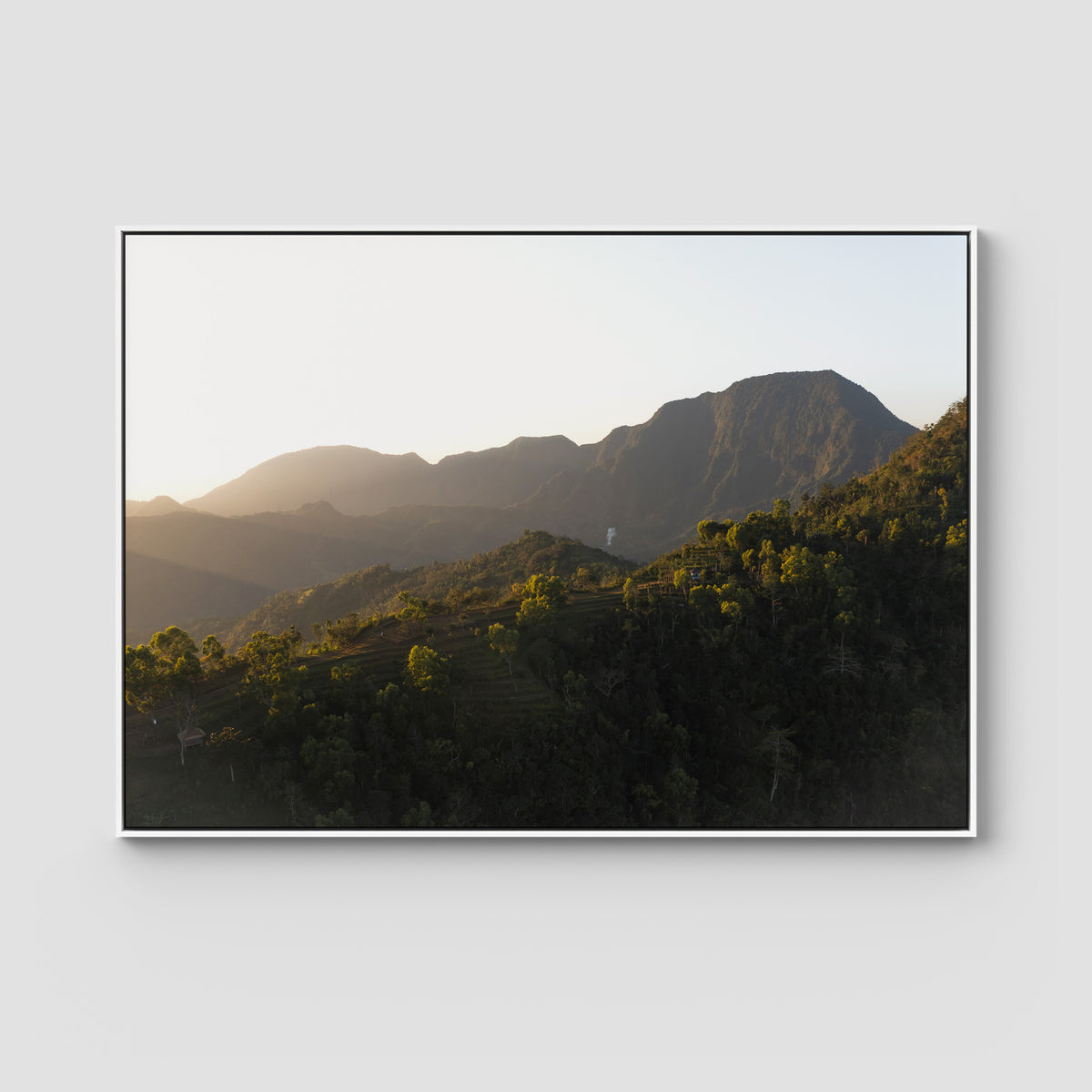 Jungle Morning Light - Bali  - Art Print - Float Frame Canvas - White - Landscape