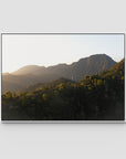 Jungle Morning Light - Bali  - Art Print - Float Frame Canvas - White - Landscape