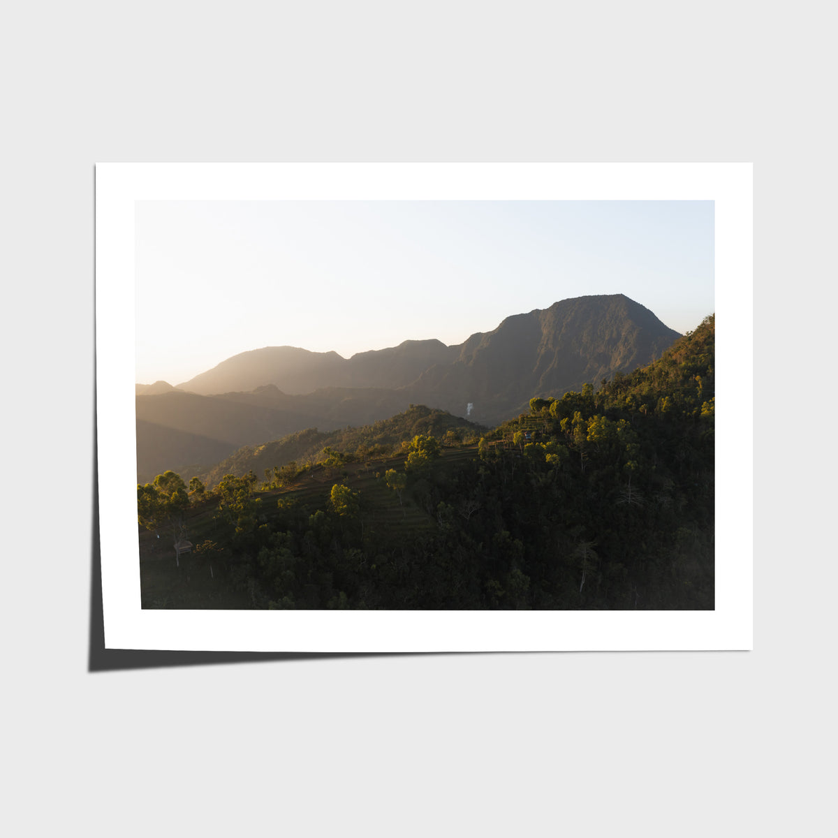 Jungle Morning Light - Bali  - Art Print - Fine Art Paper - Unframed Print - Landscape