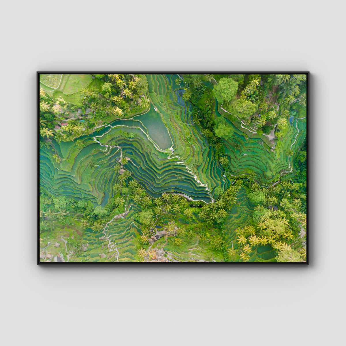 Tegalalang Rice Fields - Ubud - Art Print - Float Frame Canvas - Black - Landscape