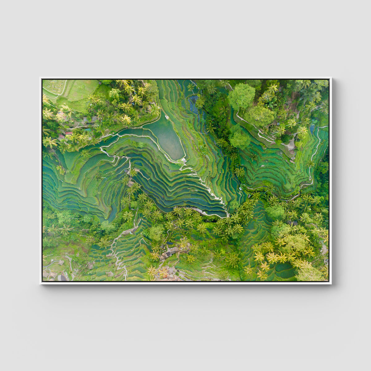 Tegalalang Rice Fields - Ubud - Art Print - Float Frame Canvas - White - Landscape