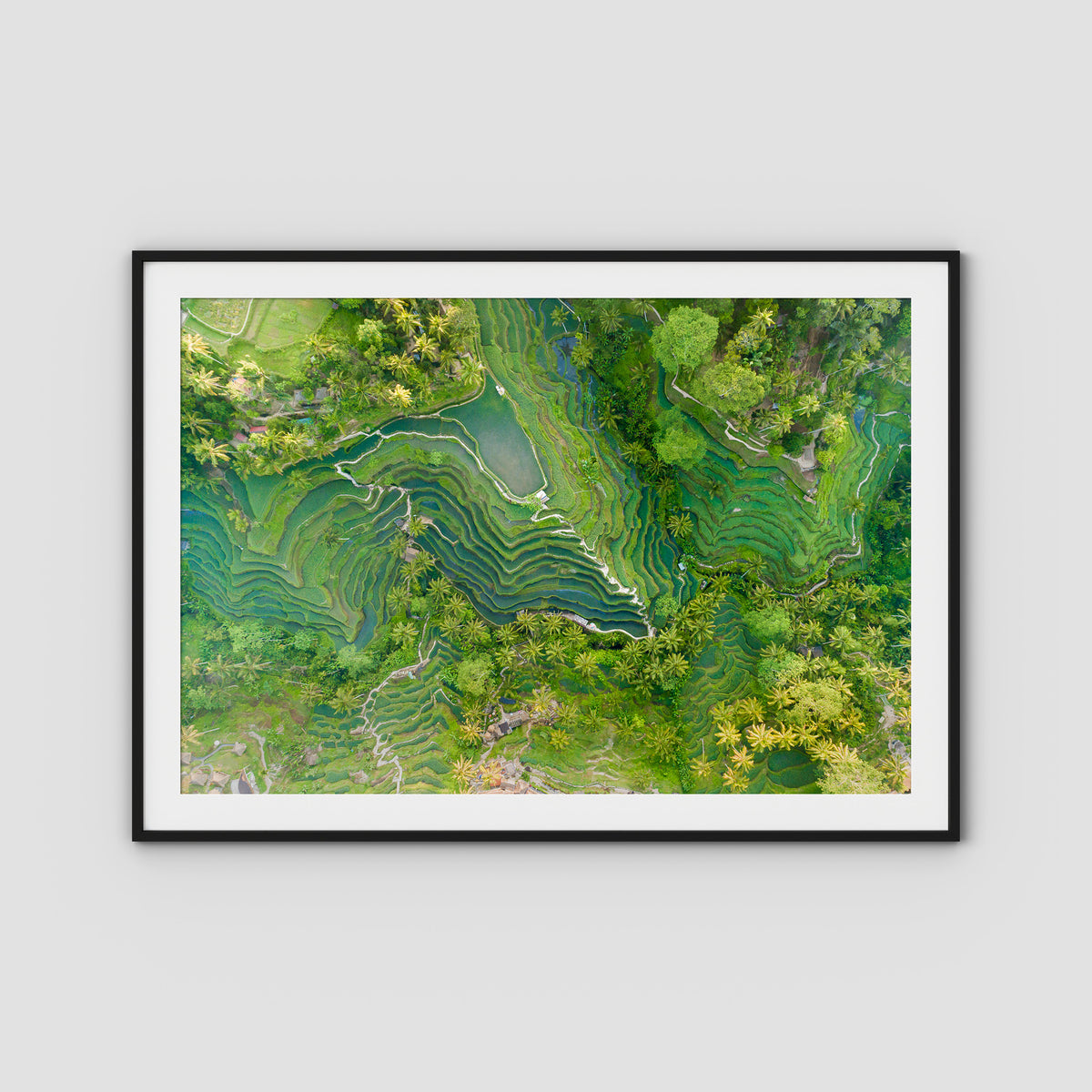 Tegalalang Rice Fields - Ubud - Art Print - Traditional Frame - Black - Landscape