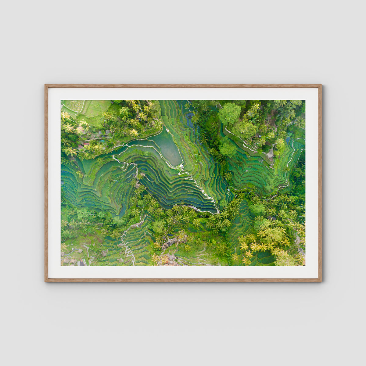 Tegalalang Rice Fields - Ubud - Art Print - Traditional Frame - Raw Oak - Landscape