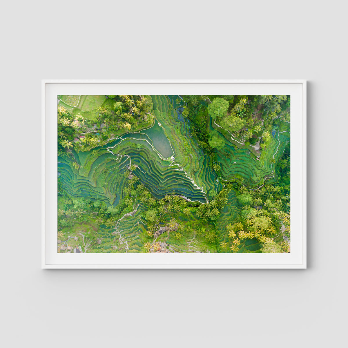 Tegalalang Rice Fields - Ubud - Art Print - Traditional Frame - White - Landscape