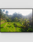 Tegalalang Rice Fields - Ubud iii - Art Print - Float Frame Canvas - Black - Landscape
