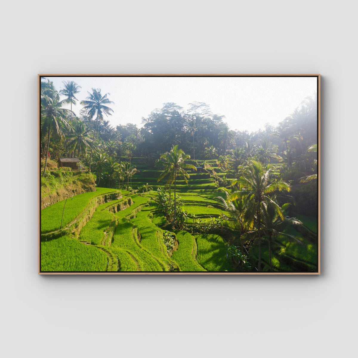 Tegalalang Rice Fields - Ubud iii - Art Print - Float Frame Canvas - Raw Oak - Landscape