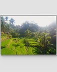 Tegalalang Rice Fields - Ubud iii - Art Print - Float Frame Canvas - White - Landscape