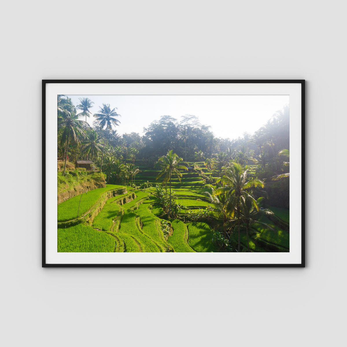 Tegalalang Rice Fields - Ubud iii - Art Print - Traditional Frame - Black - Landscape