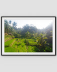 Tegalalang Rice Fields - Ubud iii - Art Print - Traditional Frame - Black - Landscape