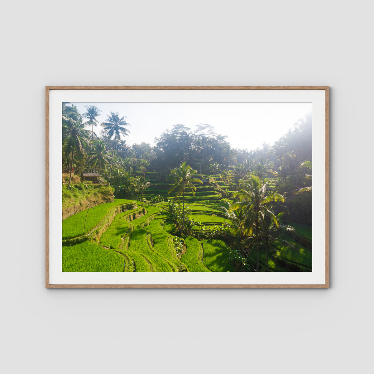 Tegalalang Rice Fields - Ubud iii - Art Print - Traditional Frame - Raw Oak - Landscape